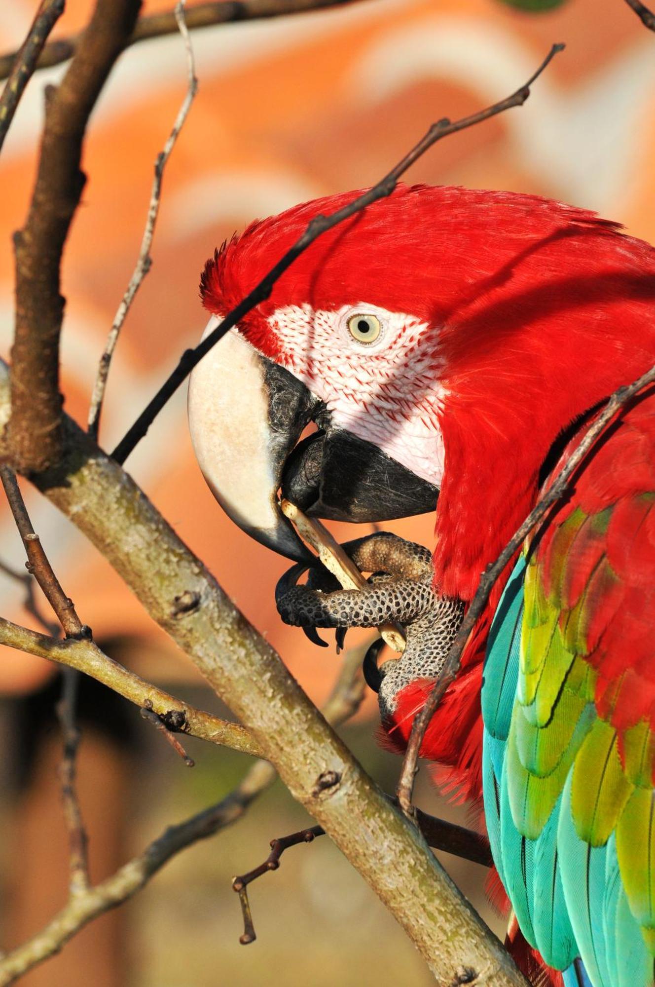 Pousada Fazenda Santa Fe Bezerros Bagian luar foto